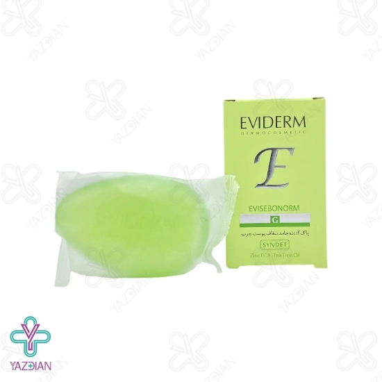 پن ضد جوش پوست چرب مدل EVISEBONORM اویدرم - 100 گرم	