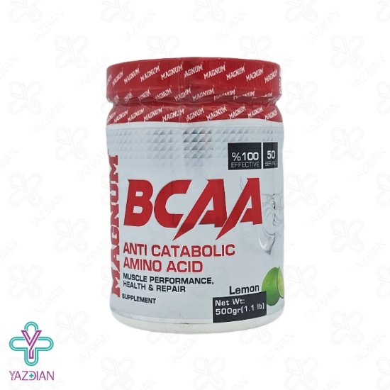 پودر بی سی ای ای BCAA مگنوم - 500 گرم	