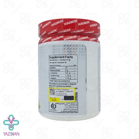 پودر بی سی ای ای BCAA مگنوم - 500 گرم	