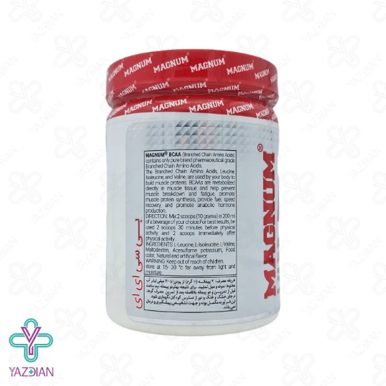 پودر بی سی ای ای BCAA مگنوم - 500 گرم	