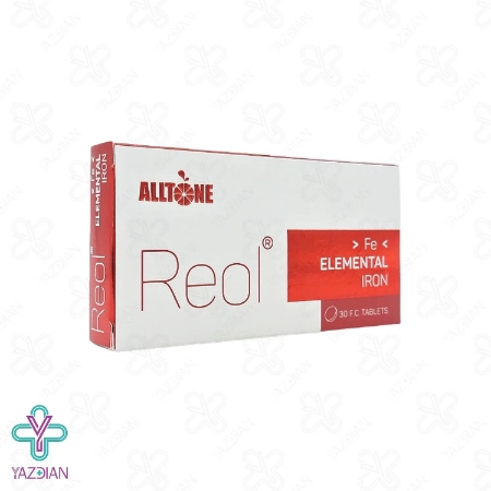 پودر بی سی ای ای BCAA مگنوم - 500 گرم	